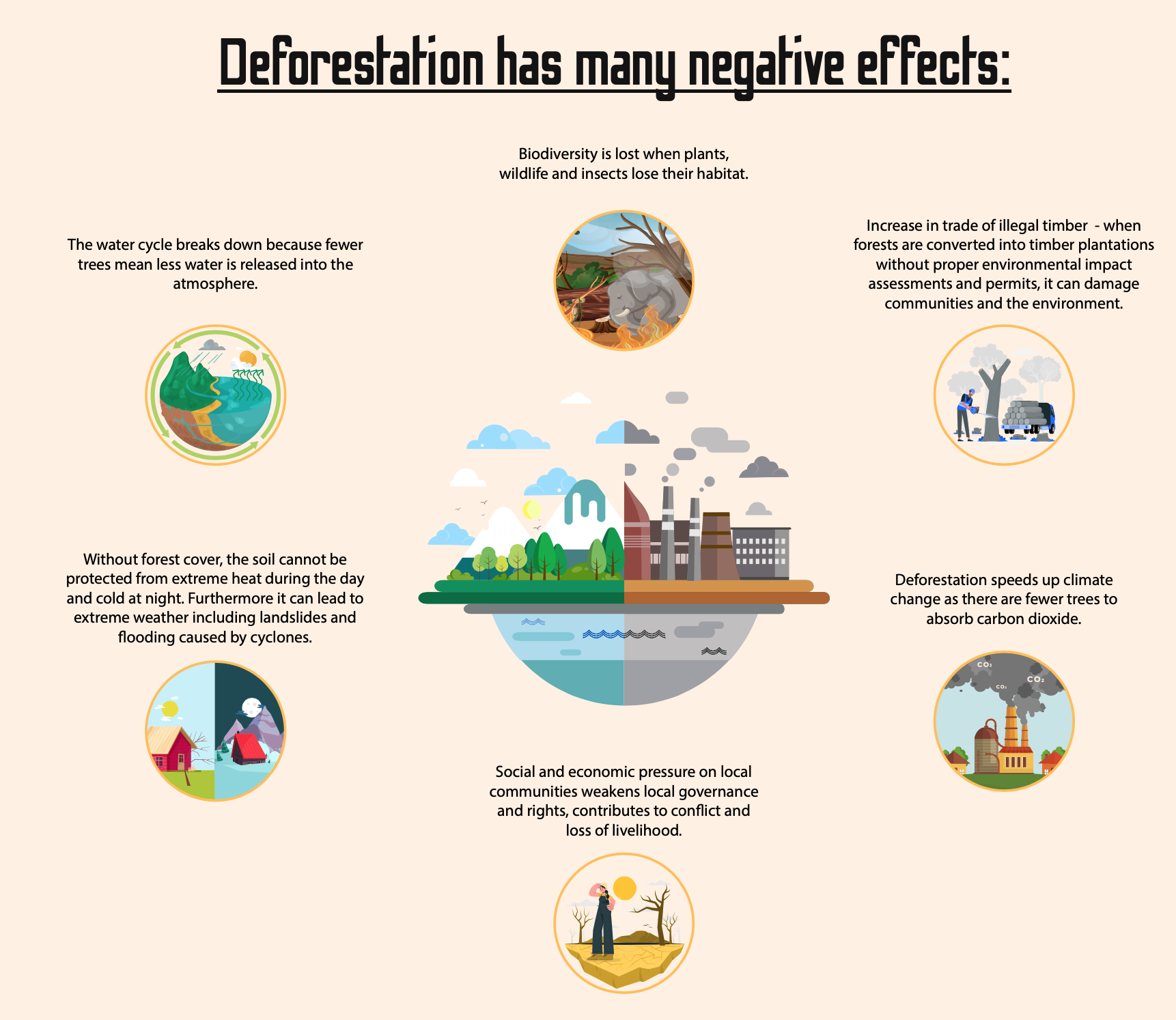 causes of deforestation